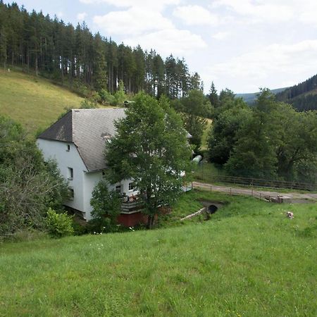 Zur Alten Oele - Hochwertig Und Familienfreundlich Ленцкирх Екстериор снимка
